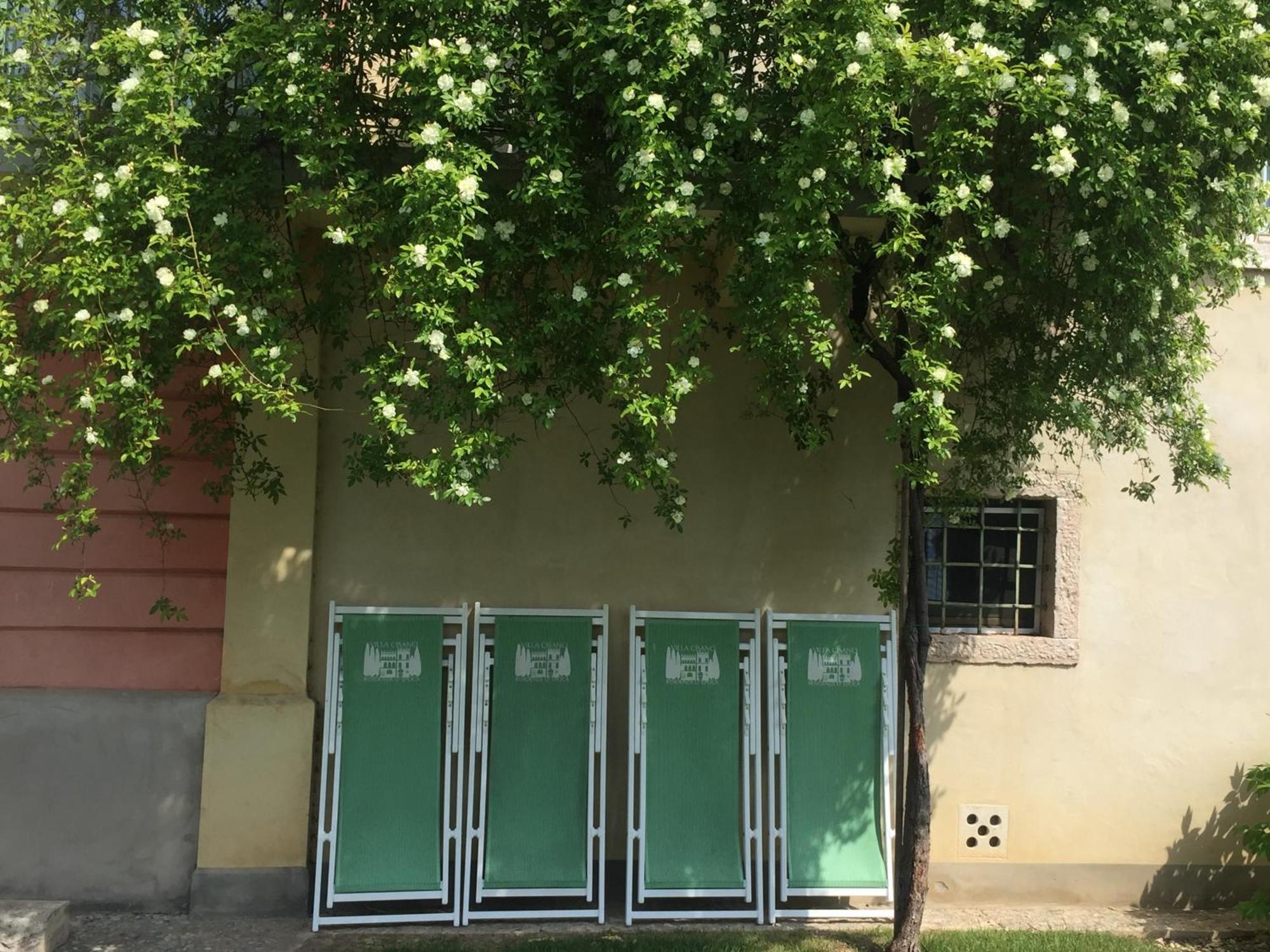 Villa Cisano Residenza D'Epoca Bardolino Ngoại thất bức ảnh